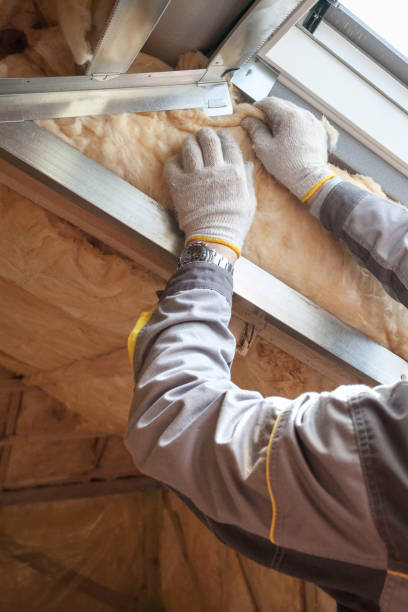 Best Insulation Materials and Products in Dahlone, GA