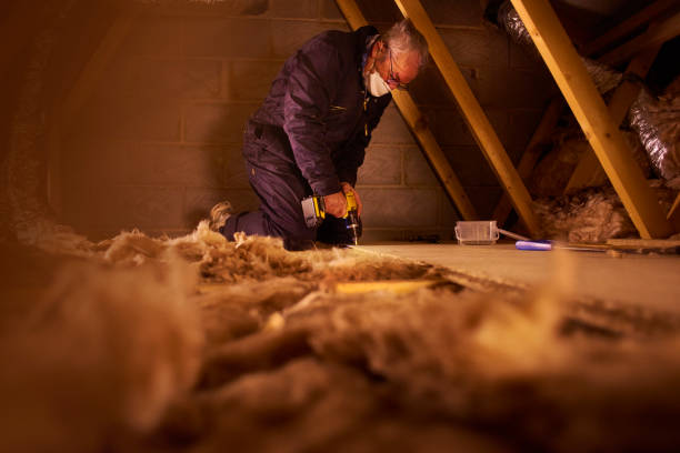 Best Commercial Insulation in Dahlone, GA